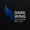 Dark Wing Solutions Private Limited logo - Similar company to Bizzbuzz Creations Private Limited