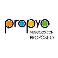 PROPYO Consultora logo - Similar company to Propyogi