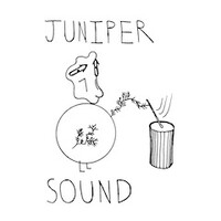 Juniper Sound LLC logo - Similar company to Coopasims Transportation & Logistics