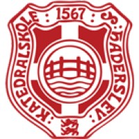 Haderslev Katedralskole logo - Similar company to Det Blå Gymnasium