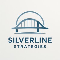 Silverline Strategies logo - Similar company to Nexpiore Solutions