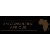 AM CONSULTING AFRIQUE logo - Similar company to Exploitsmotivation