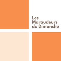 Les Maraudeurs du Dimanche logo - Similar company to Afikaris Gallery