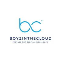 Boyz in the Cloud B.V. logo - Similar company to Mensinga It