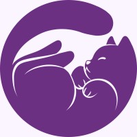 PurpleCyber Solutions logo - Similar company to Matrix Integration