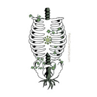 Pelvic Connections Physical Therapy logo - Similar company to Get Me Into College