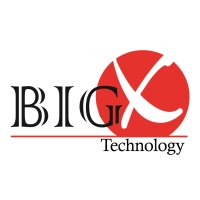 BigXtechnology logo - Similar company to Ionx Llc