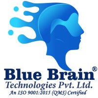 Blue Brain® Technologies Private Limited logo - Similar company to Raasis Technology