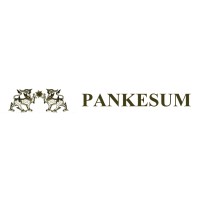 Pankesum Trading Company, Ltd logo - Similar company to Terrestrial Co. Ltd