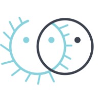 Lucid Ventures, LLC logo - Similar company to Visible Technologies