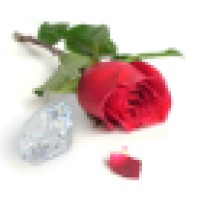 Dutch Rose Solutions BV logo