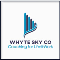 Whyte Sky Co logo - Similar company to The Devil Wears Data