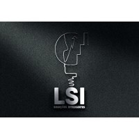 LSI Consult logo - Similar company to Lsi Consulting