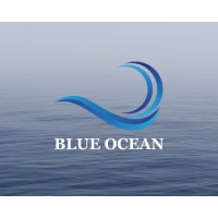 Blue Ocean Agency logo - Similar company to Good Systems