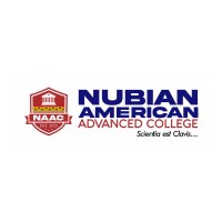 Nubian American Advanced College logo - Similar company to T I A (This Is Africa)