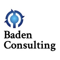 Baden Consulting logo - Similar company to Settec