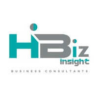 HiBiz Insight logo - Similar company to Code Rafters