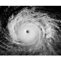 Legacy Restoration, LLC