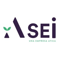 Grupo Asei logo - Similar company to Ciclo Total