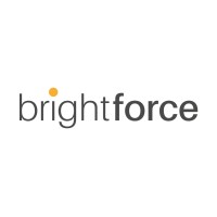 Brightforce Sp. z o.o. logo - Similar company to Wavy Apps ☁ Salesforce Consulting & Apps