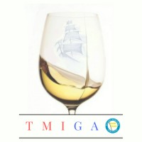 TMIGAO logo - Similar company to Seer Group