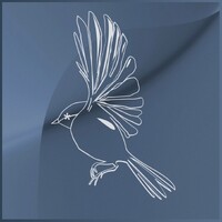 BlueFeather logo - Similar company to Aura Nova