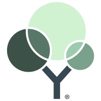 Y Meadows logo - Similar company to Empire Today