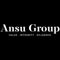 Ansu Group logo - Similar company to Dolma Impact Fund
