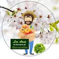 DOMAINE DE MARCEROLLES logo - Similar company to Yes Provence - Vintage Roads 🚗 🚌 2Cv - Méhari - Cox - Combi Van ✅ Location Pour Vos Séminaires