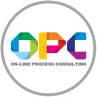 On-Line Process Consulting