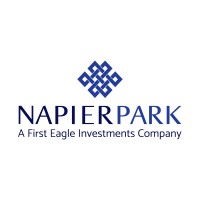 Napier Park logo - Similar company to Hk Management Partners