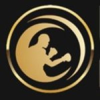 UBC Gym logo - Similar company to Aces Training Center