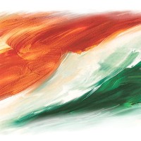 Tricolor Films LLC logo - Similar company to Nextel Studios