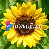 IntegriPrint, Inc. logo - Similar company to Copley Visual