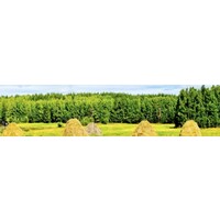Haystack logo - Similar company to Learn Salesforce