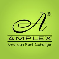 AMPLEX Wholesale Nursery logo - Similar company to Hart-T-Tree Farms