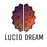 Lucid Dream logo - Similar company to Technology Solutions