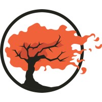 Liz Timoney Consulting Ltd