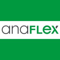 anaFLEX GmbH Deutschland logo - Similar company to Ess Embedded Systems Solutions Gmbh