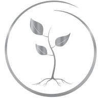 Diversion Strategies logo - Similar company to Southeast Recycling Development Council (Serdc)