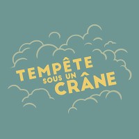 Tempête Sous Un Crâne