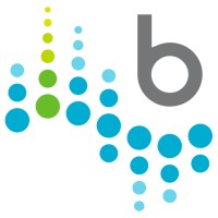 Brainjocks logo - Similar company to Tritek Solutions