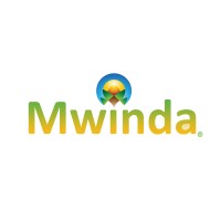 Mwinda Technologies logo - Similar company to Nact Solutions, Llc