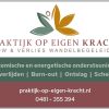 Praktijk op eigen kracht logo - Similar company to Bdes