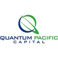 Quantum Pacific Capital Ltd logo - Similar company to Qp Ventures