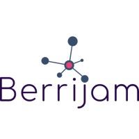 Berrijam logo - Similar company to Primesoft Software Solutions