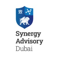 Synergy Advisory logo - Similar company to Finex