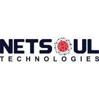 Netsoul Technologies logo - Similar company to Chartexpo