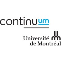 ContinuUM FSE