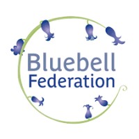 Bluebell Federation logo - Similar company to Auditone Uk